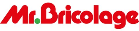 Mr. Bricolage
